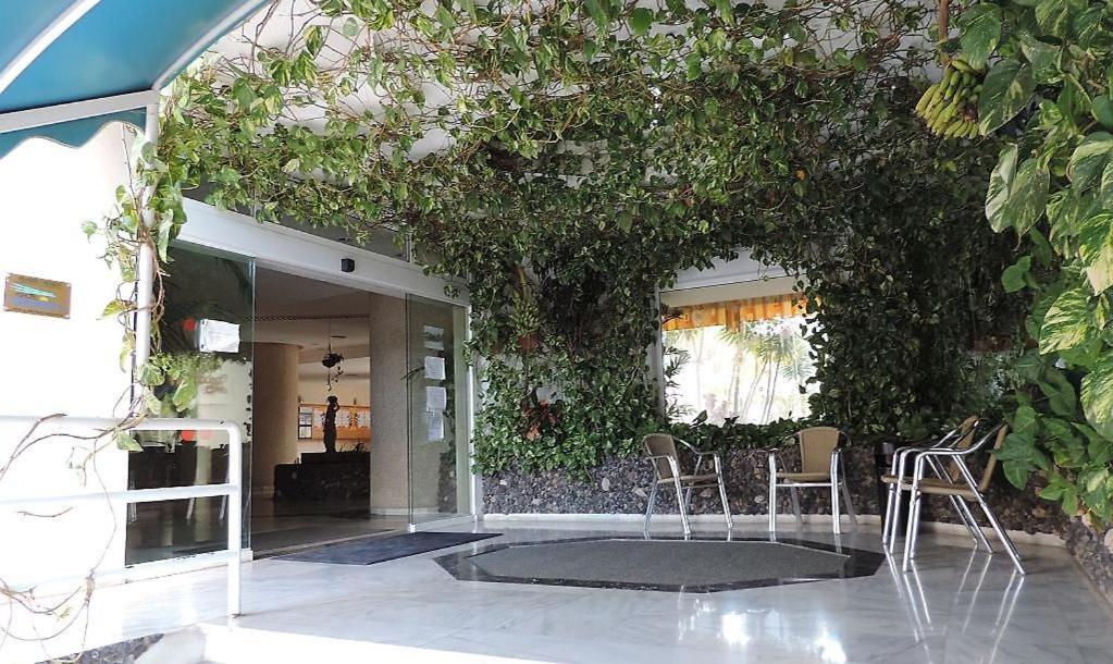 Apartamento Con Piscina En Golf Del Sur 산미겔데아보나 외부 사진